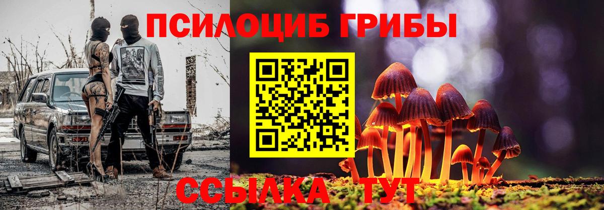 Псилоцибиновые грибы мицелий Муром