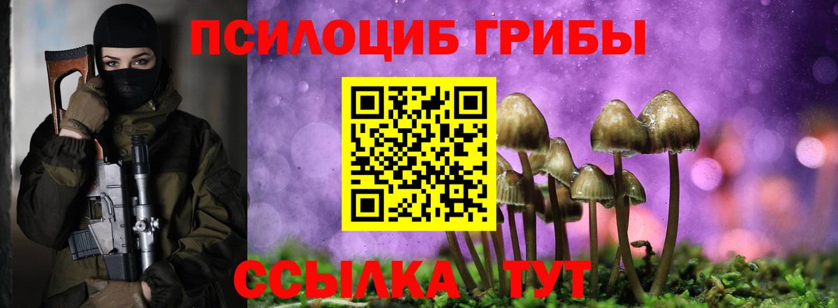 Псилоцибиновые грибы прущие грибы  Вход с VPN  Муром  Псилоцибиновые грибы мухоморы 